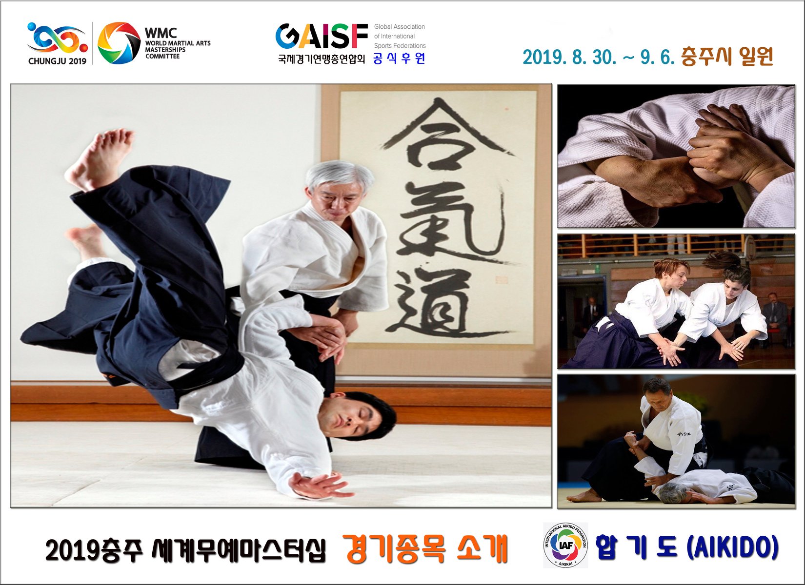 체육시설업 신고제도로 나타난 합기도 문제