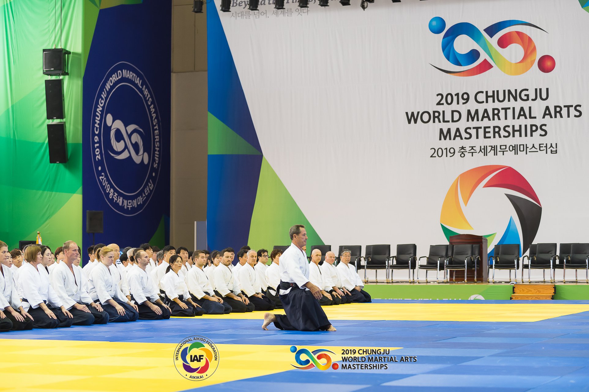 [영상]2019충주세계무예마스터십 합기도 하이라이트