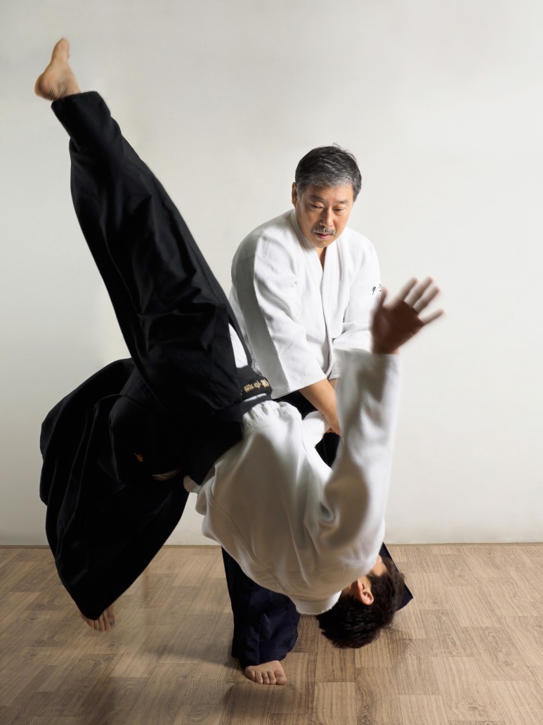 공격성의 승화, 아이키도