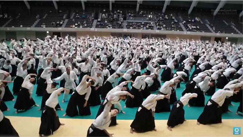 합기도(Aikido)체조, 2016 국제대회 영상들